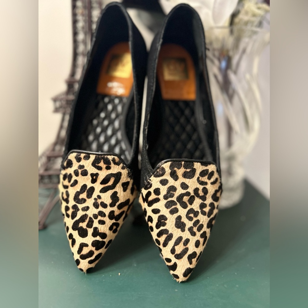 Shoe size 8